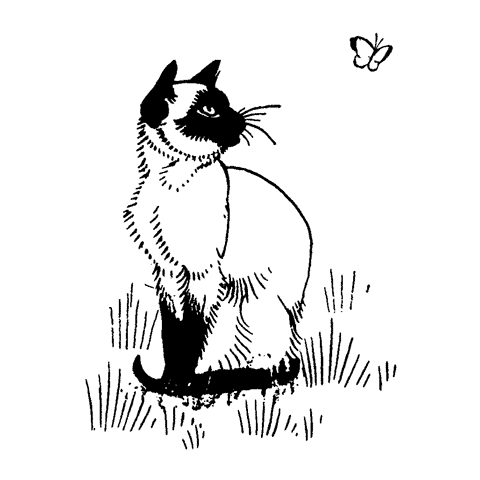 Sitting siamese cat with butterfly rubber stamp