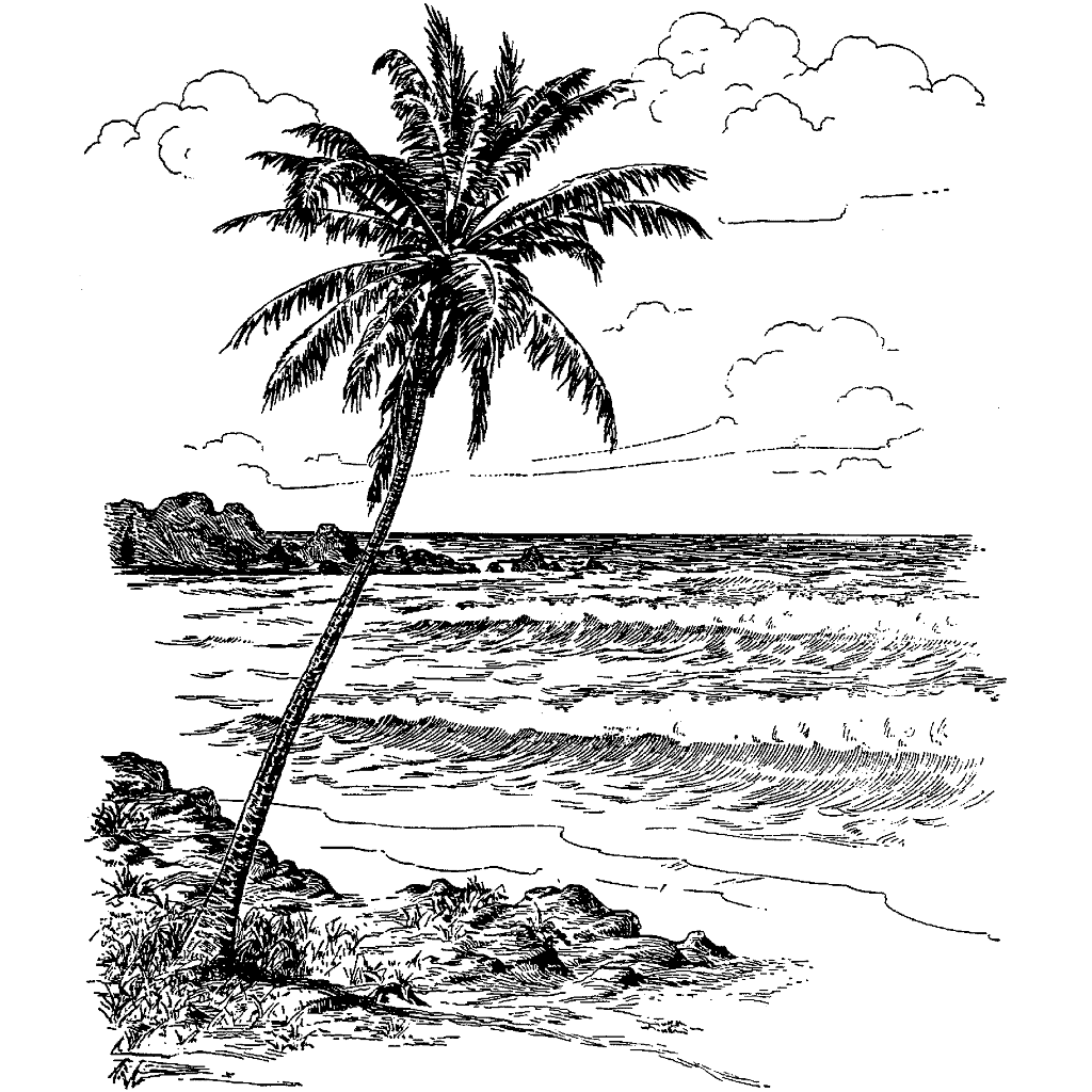 Hawaiian Waves 560P