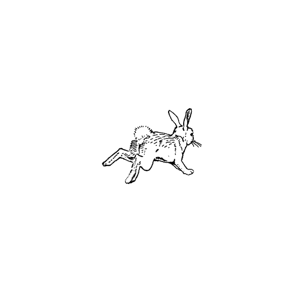 Hopping Bunny 635A