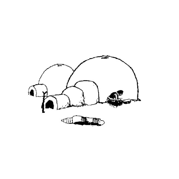 Igloo 82A