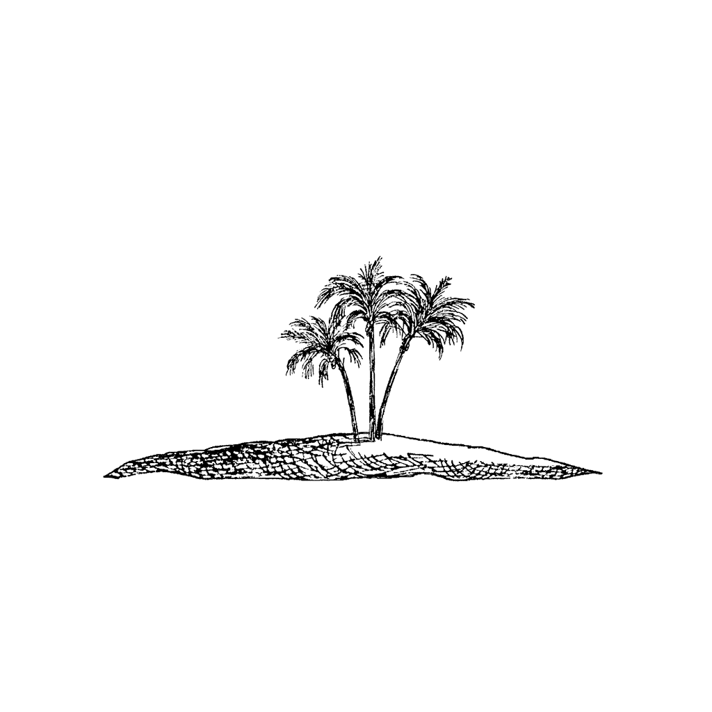 Island 1189D