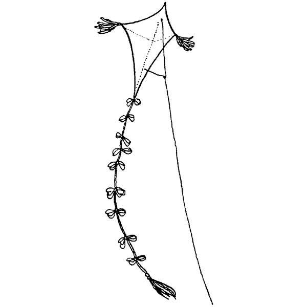 Kite 599G
