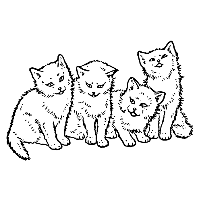 Kittens 1670G