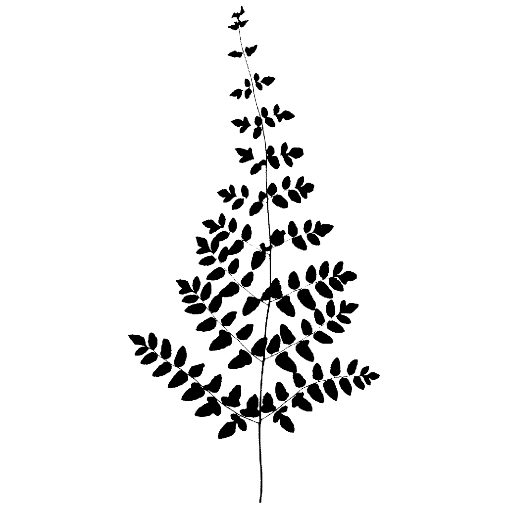 Lacy Fern Leaf 832I