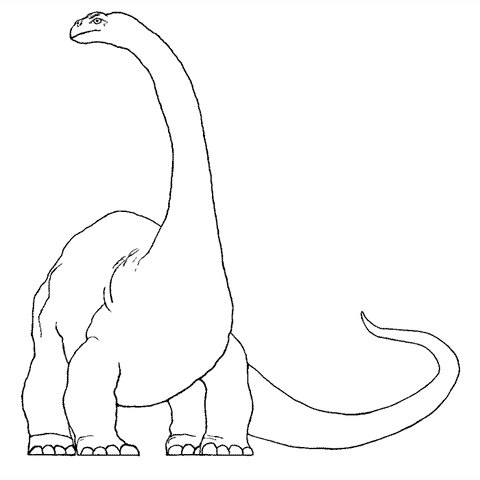 Large Brontosaurus 1638I