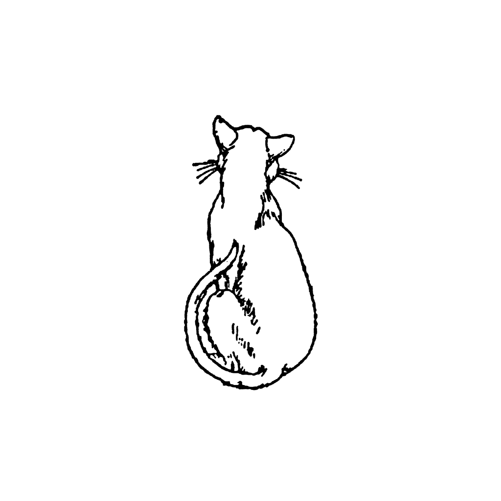 Large Cat Watching 825D