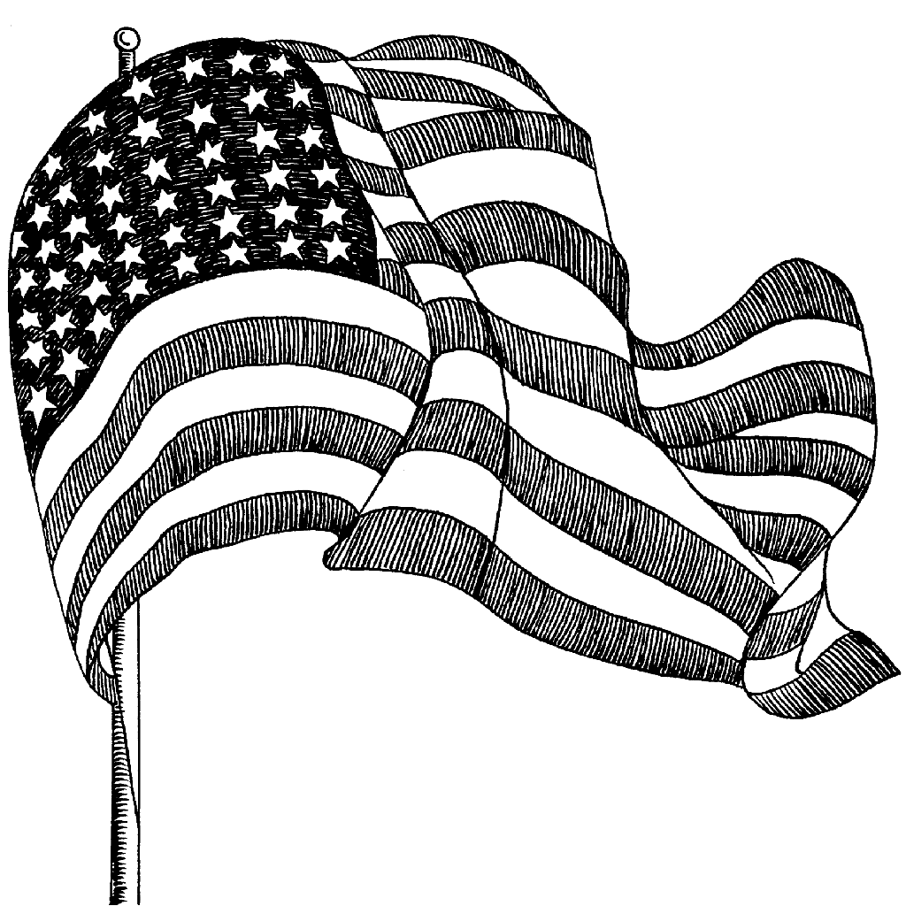 Large Flag 760N