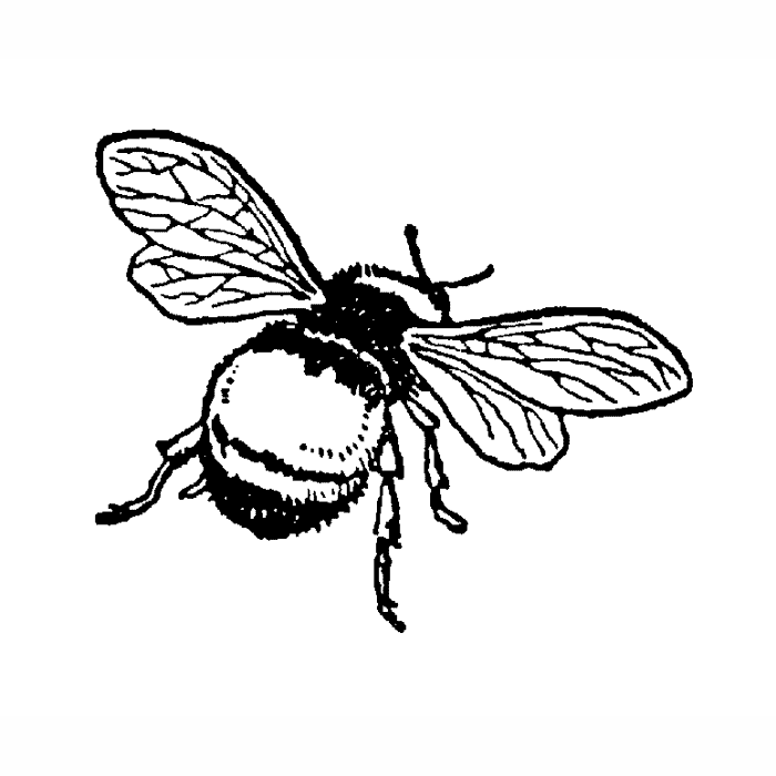 Large Flying Bumble Bee 1603D