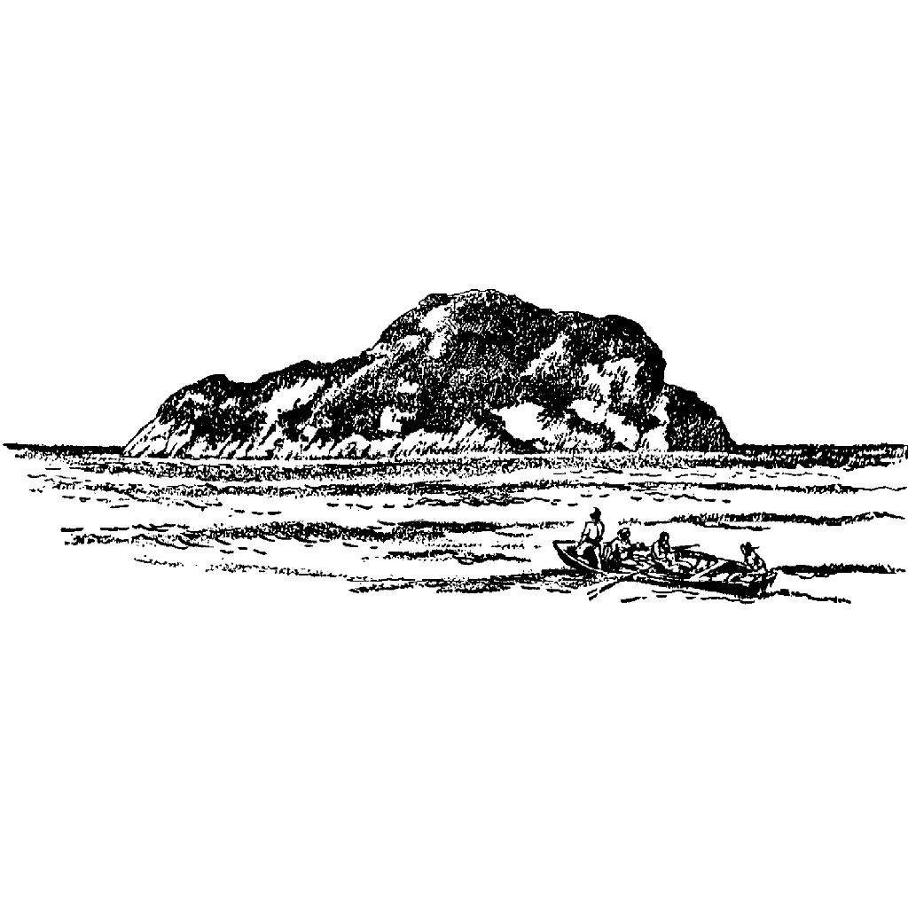 Large Island 73I