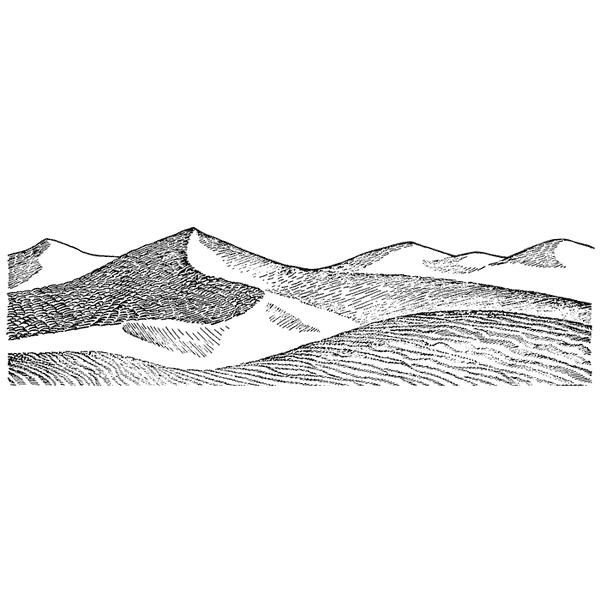 Large Sand Dunes 1526N