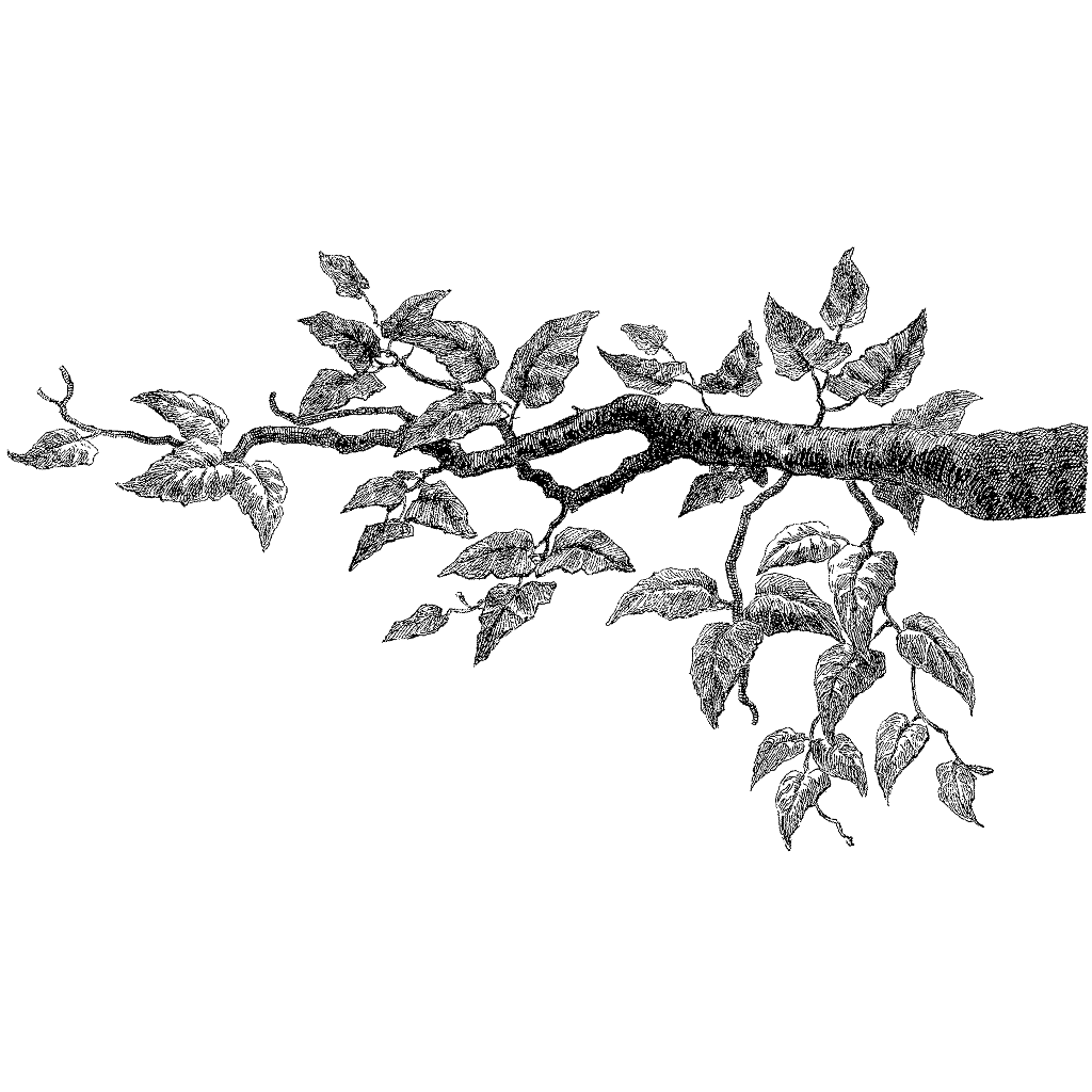 tree branch rubber stamp Leafy Branch 631N
