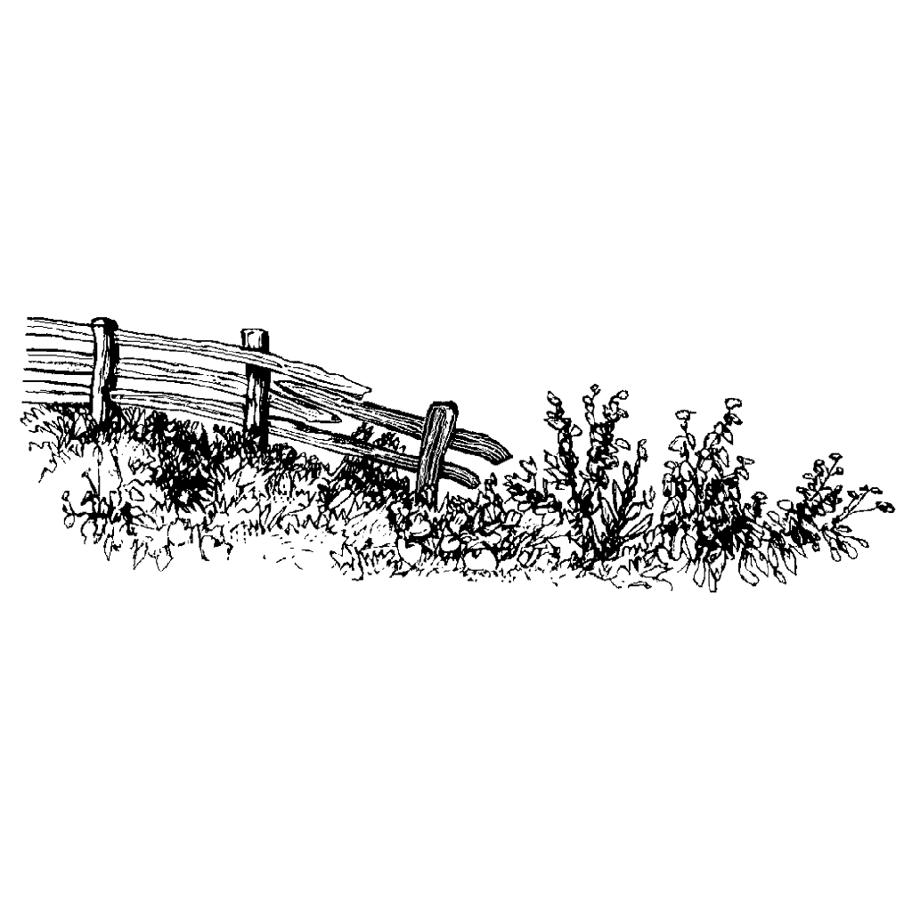Left Fence 62E