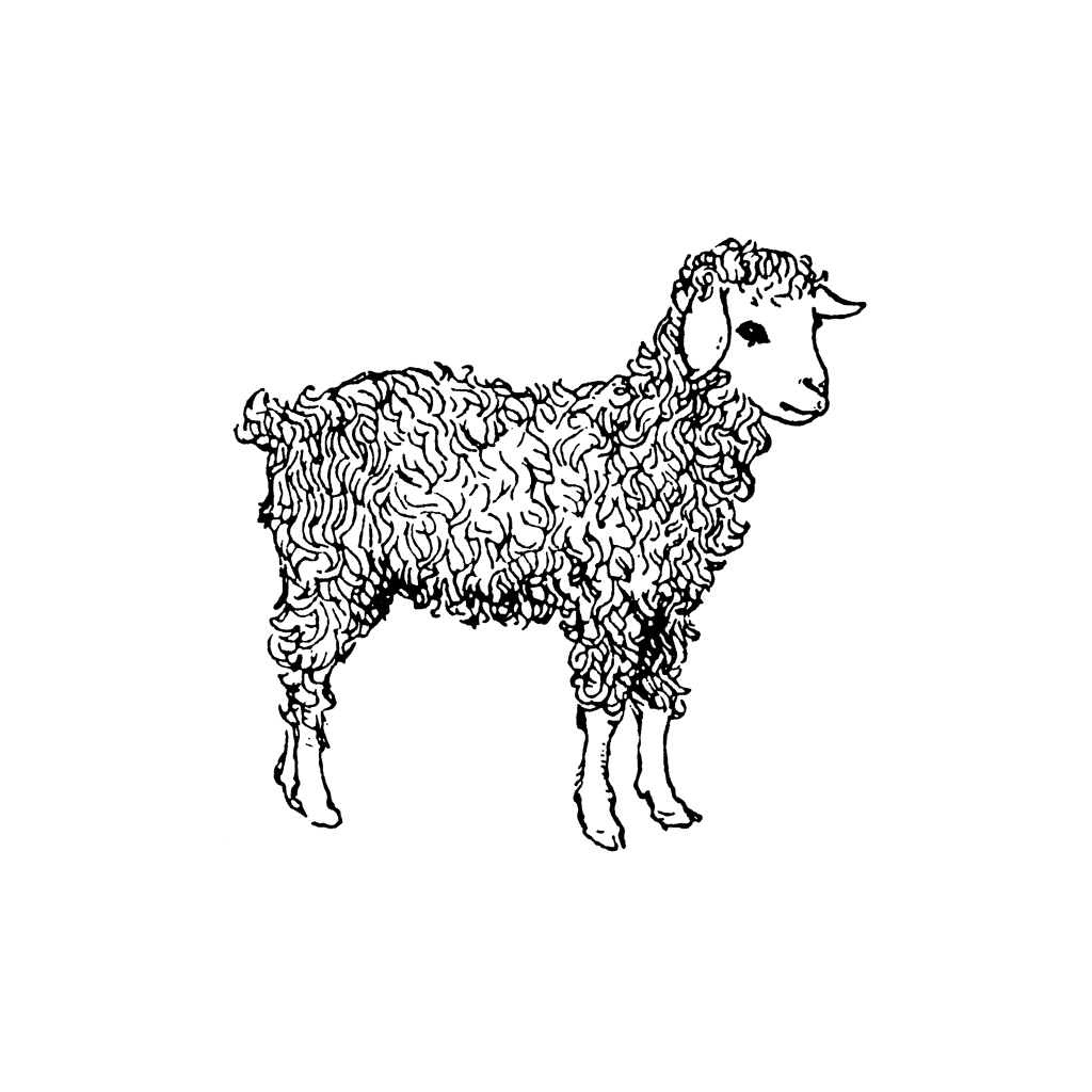 Lil' Lamb 1134G
