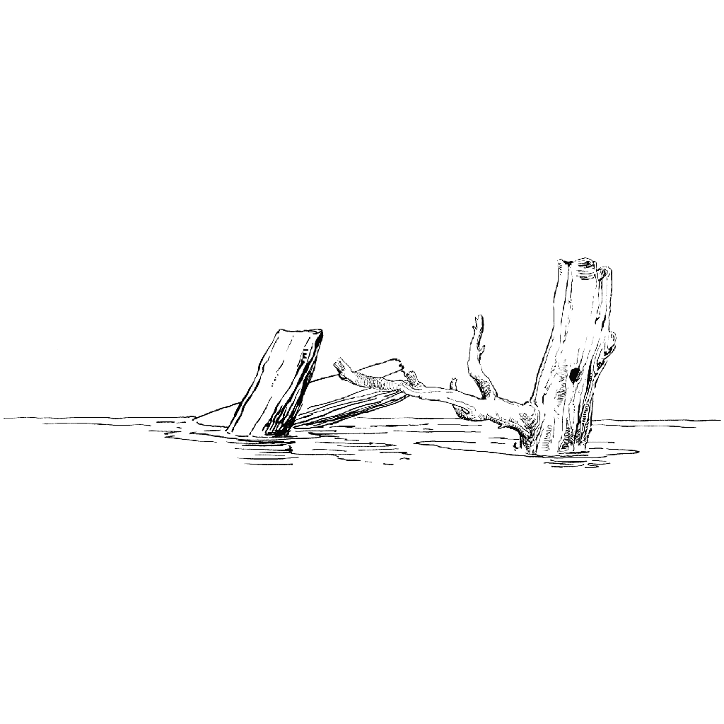 Logs in Water 1365J