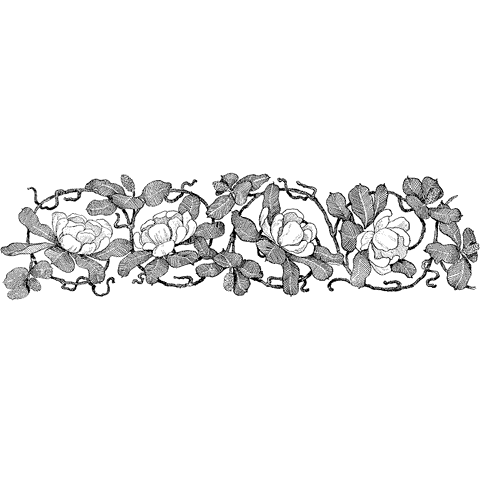 Magnolia Border 1217M