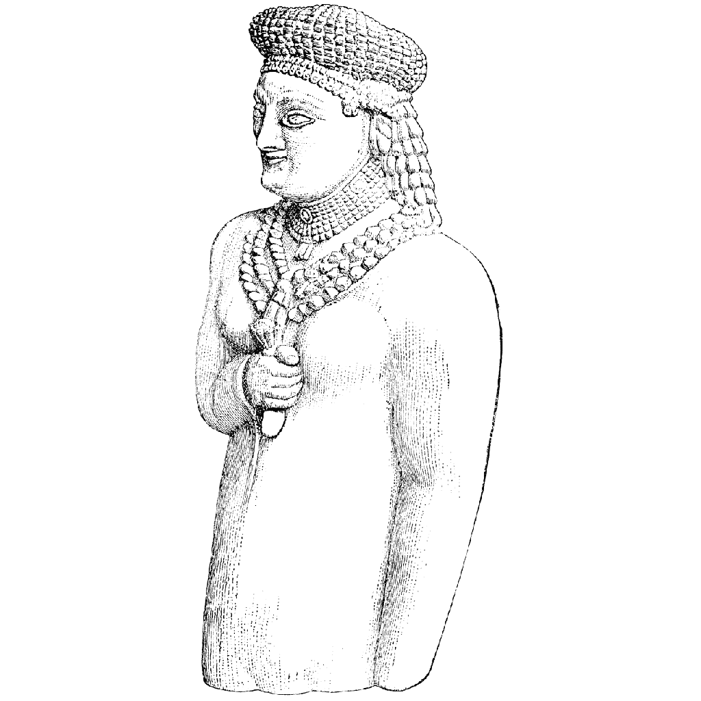Male Votary 1412J