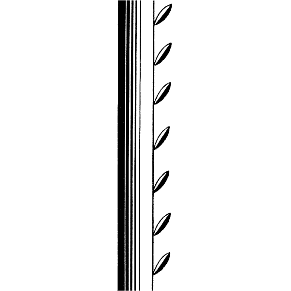 Nouveau Leaf Border 1238L