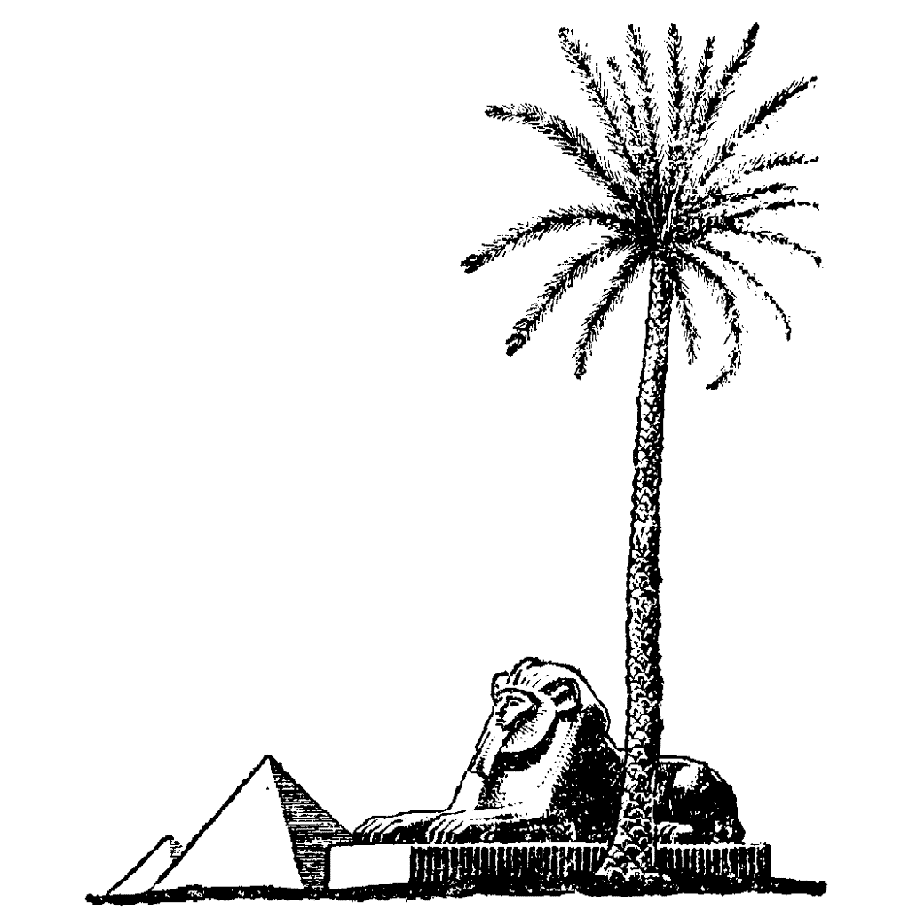Palm Pyramids 89I