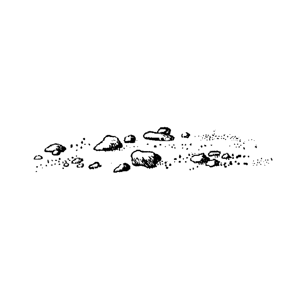Pebbles 405A