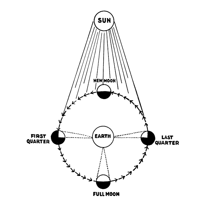 Phases of the Moon 1698L
