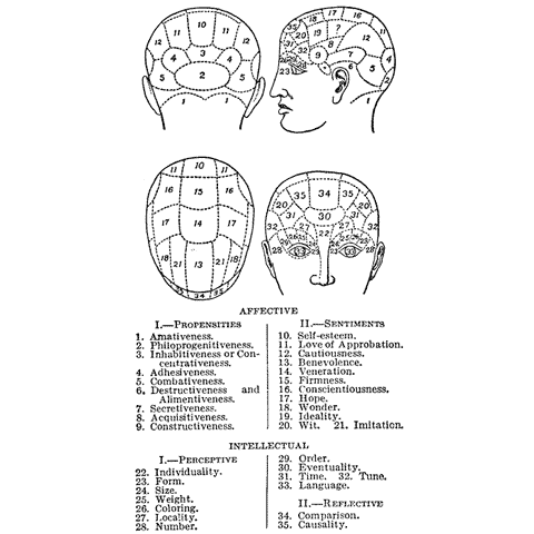 Phrenology Chart 1145M