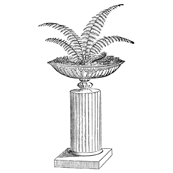 Potted Fern 1369H