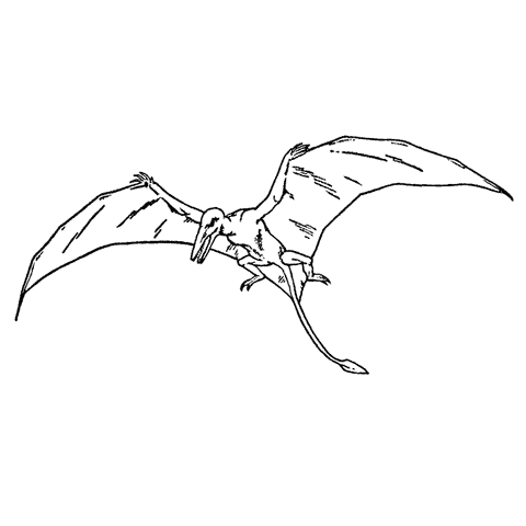 Pterodactyl 1672J