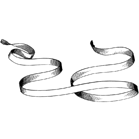 Ribbon #2 740G
