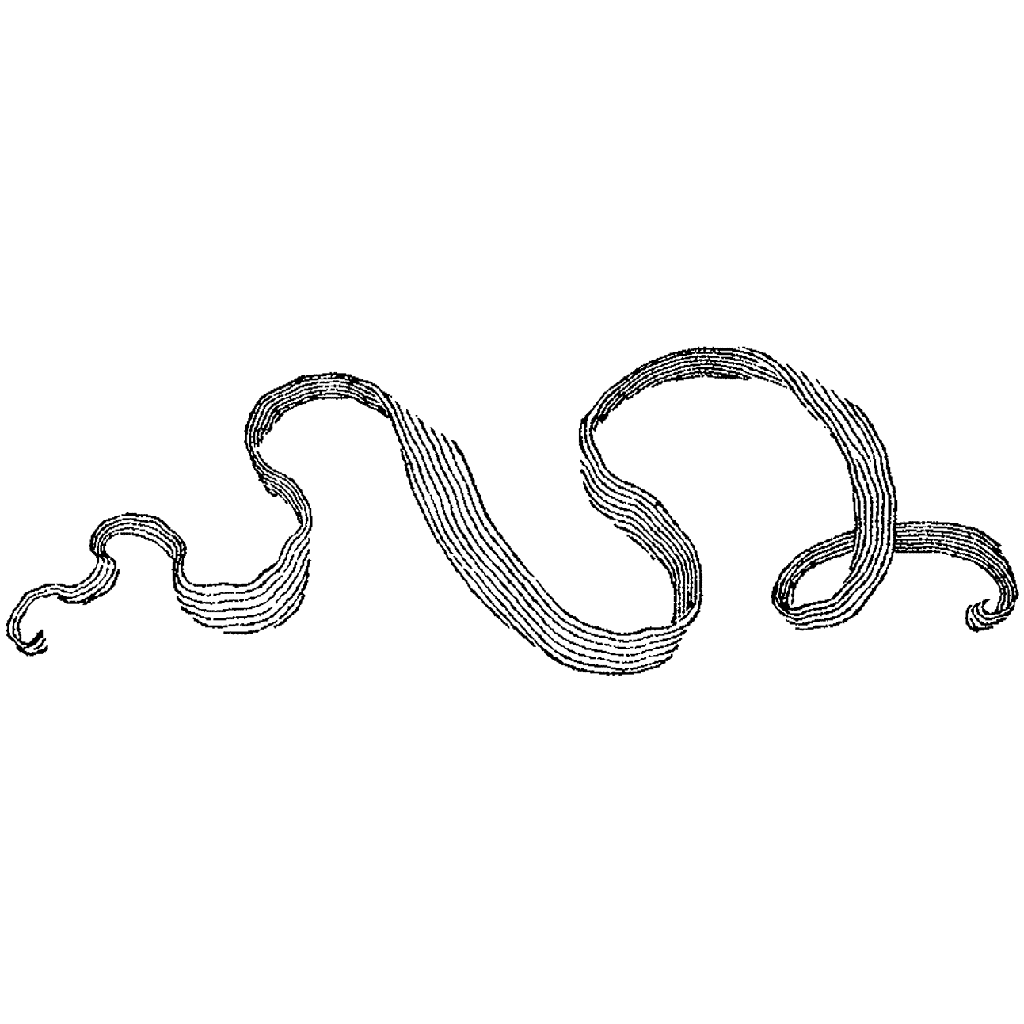 Ribbon 721F