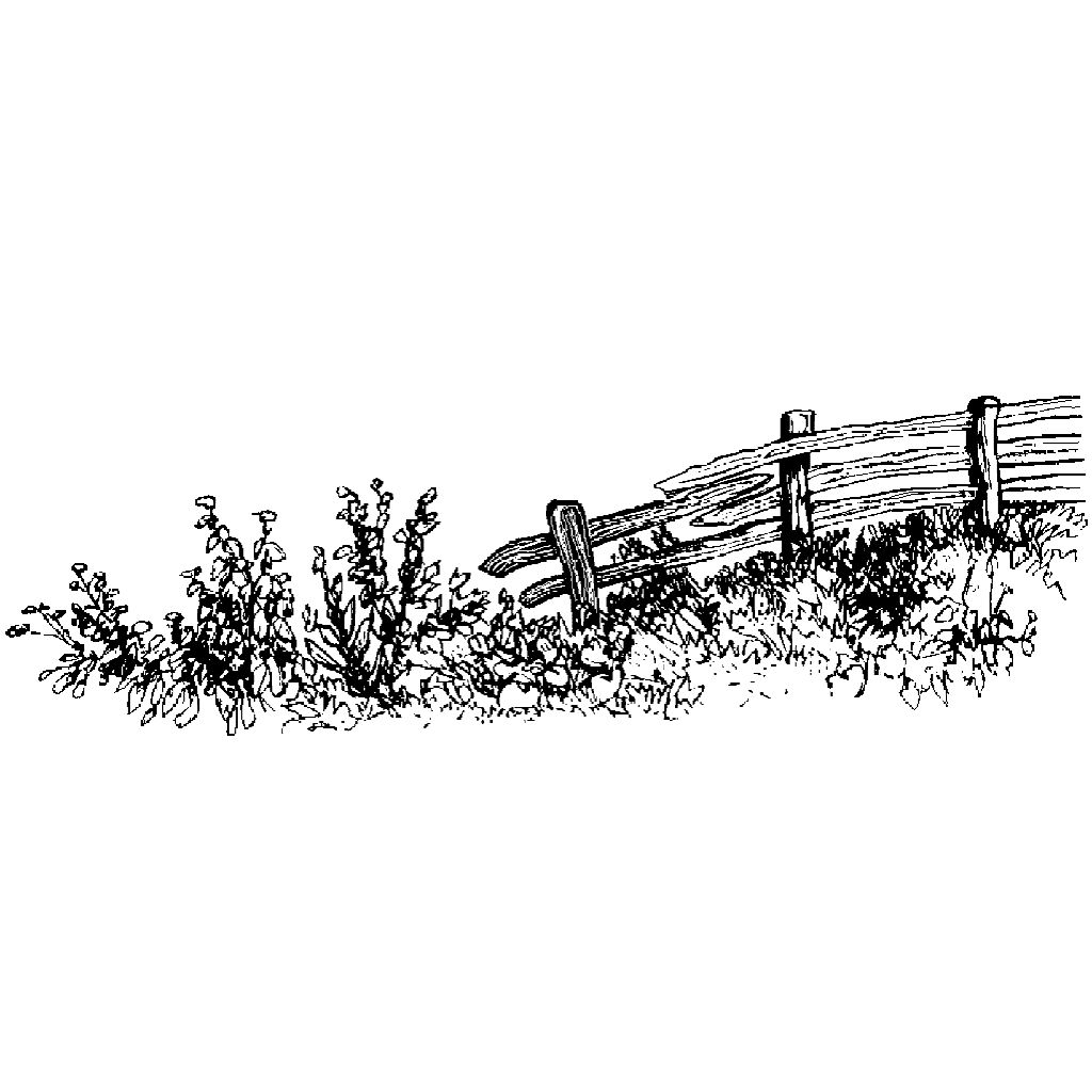 Right Fence 409G