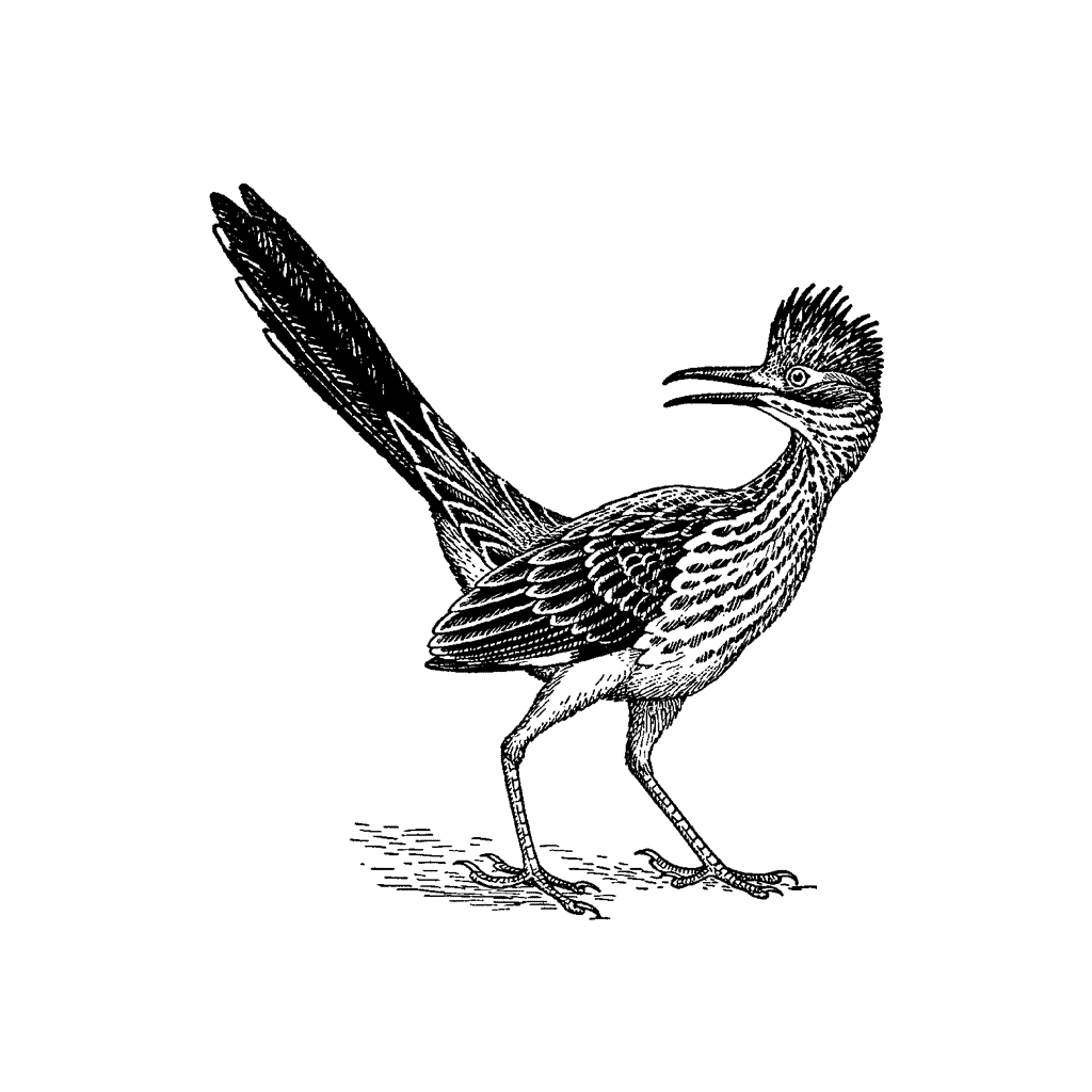 Roadrunner 757F