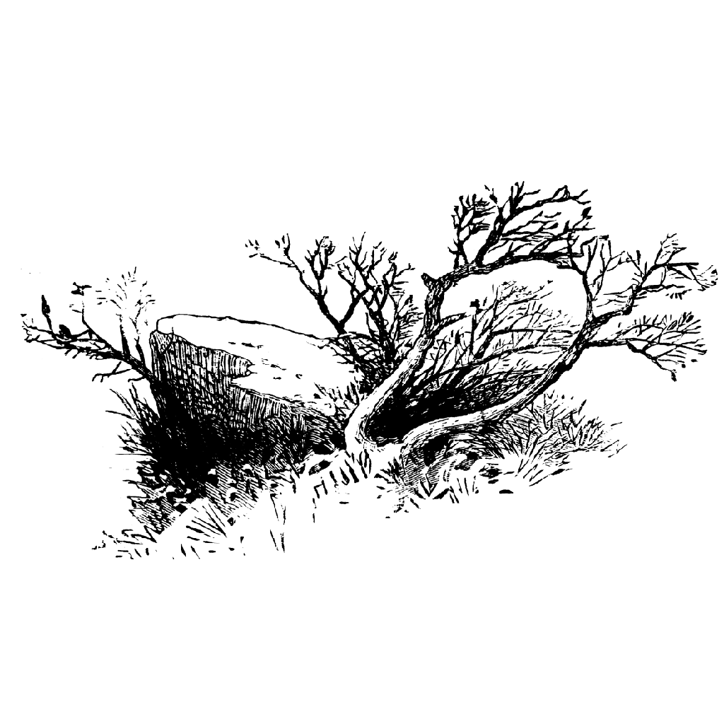Rock & Shrub 1104H