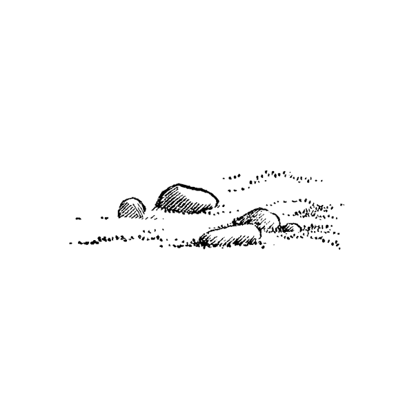 Rocks/Sand 25A