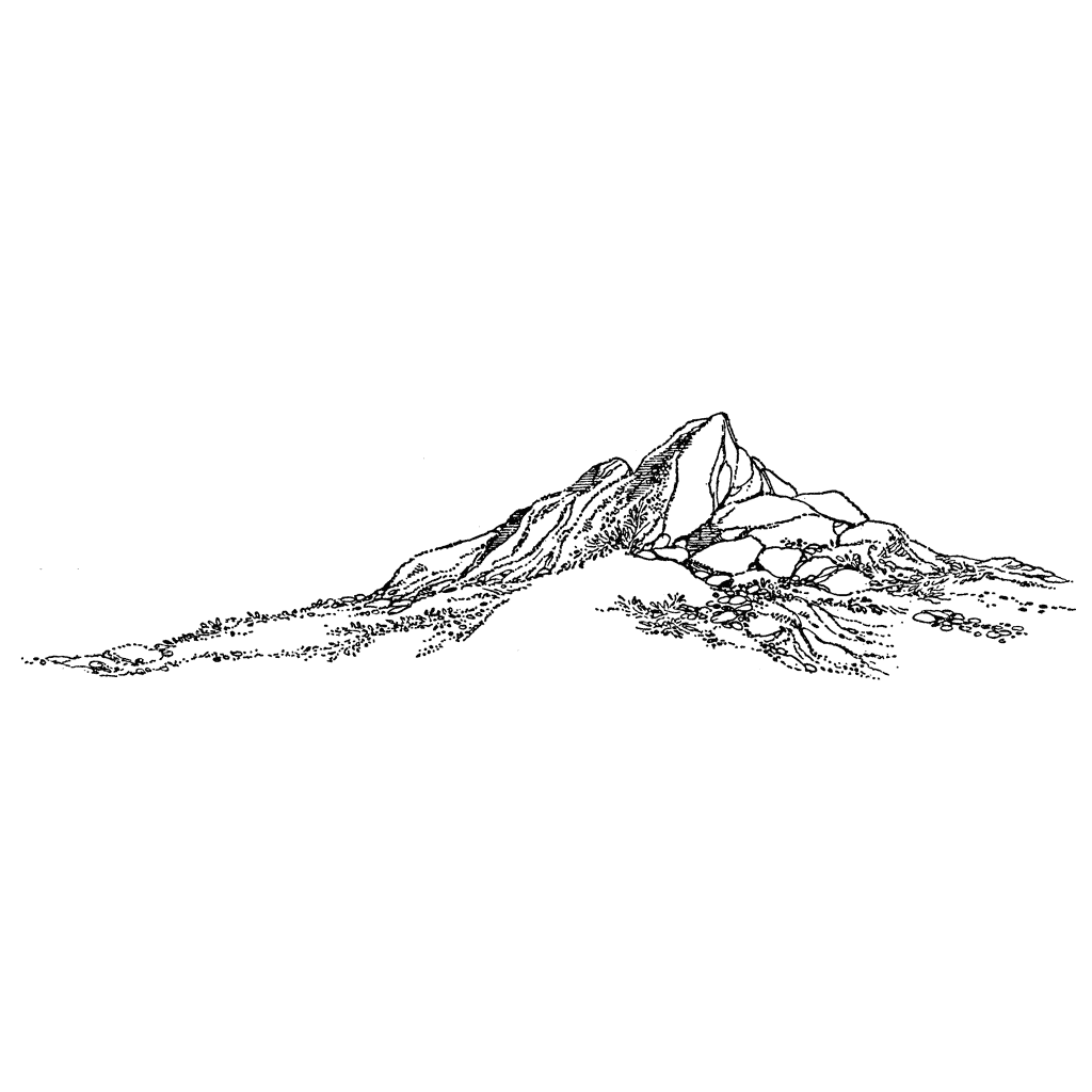 Rocky Mountain 522K