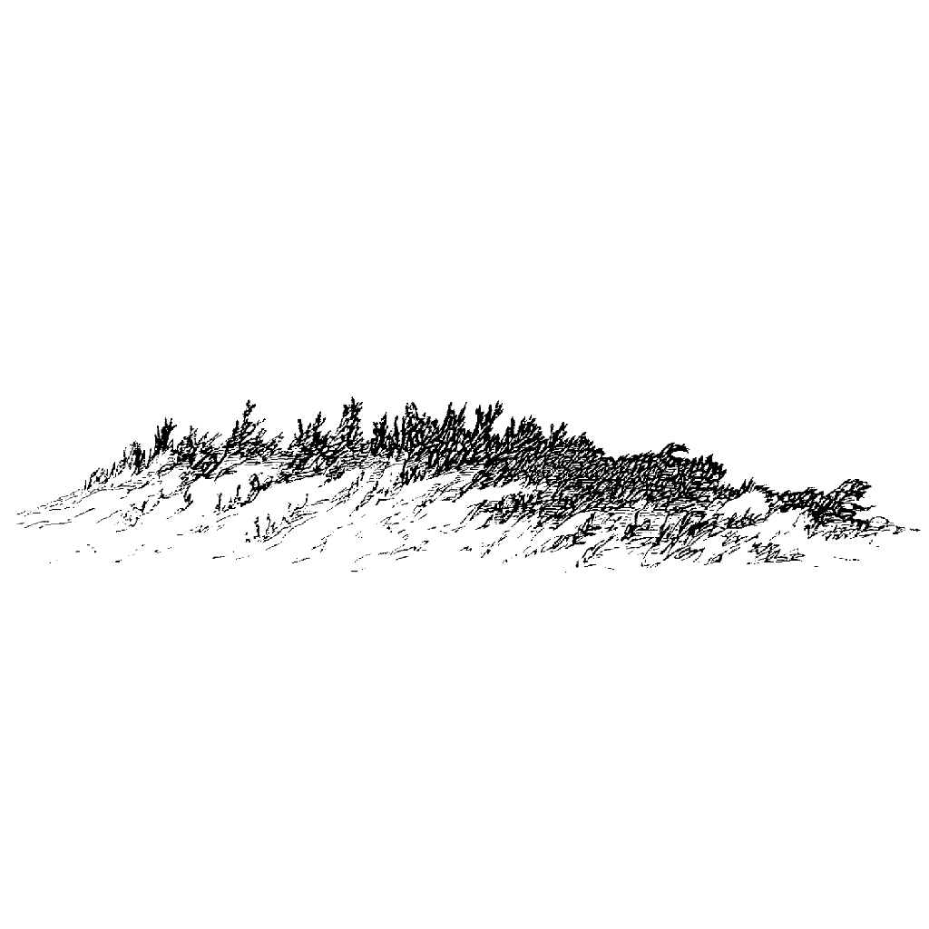 Sandy Hill 64G