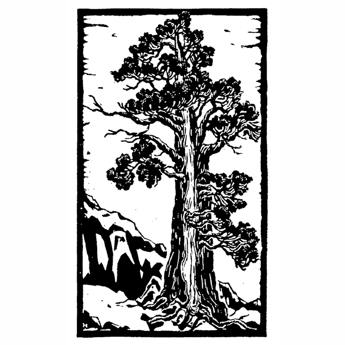 Sequoia Block 1731K