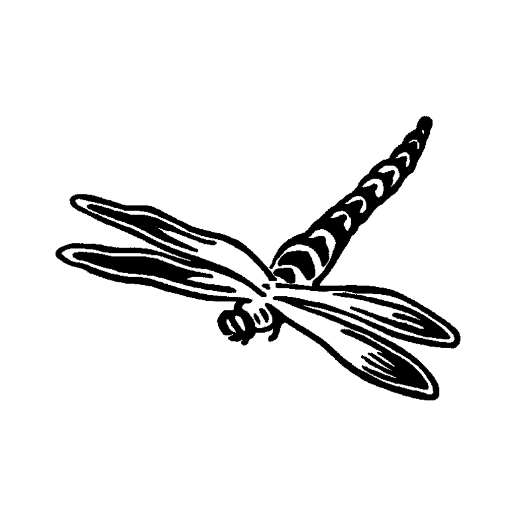 Side Dragonfly 693G