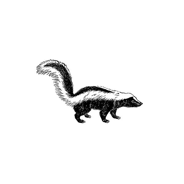 Skunk 1354D