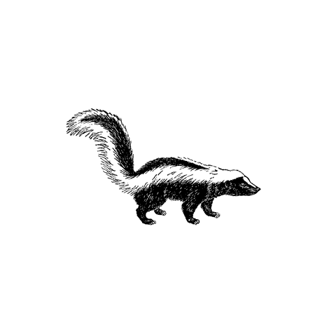 Skunk 1354D