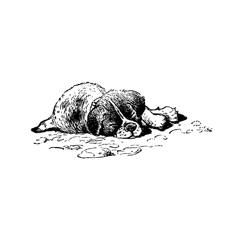 Sleeping Puppy 943D
