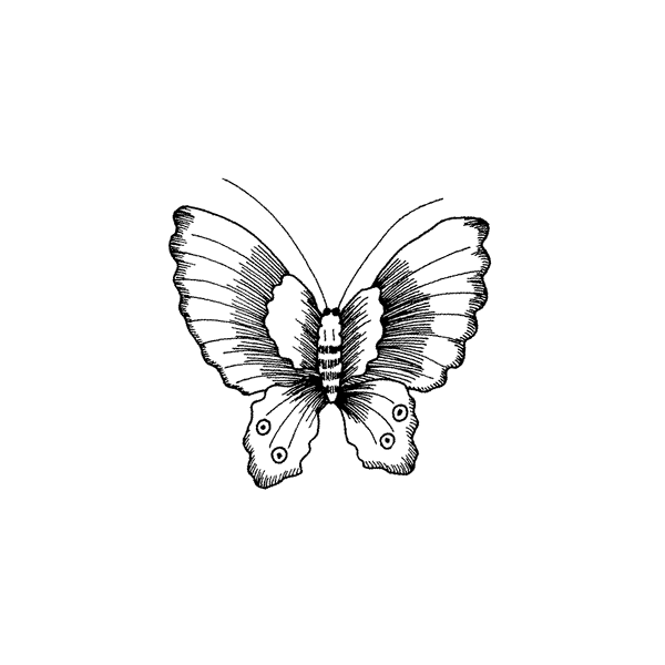Small Butterfly 776F