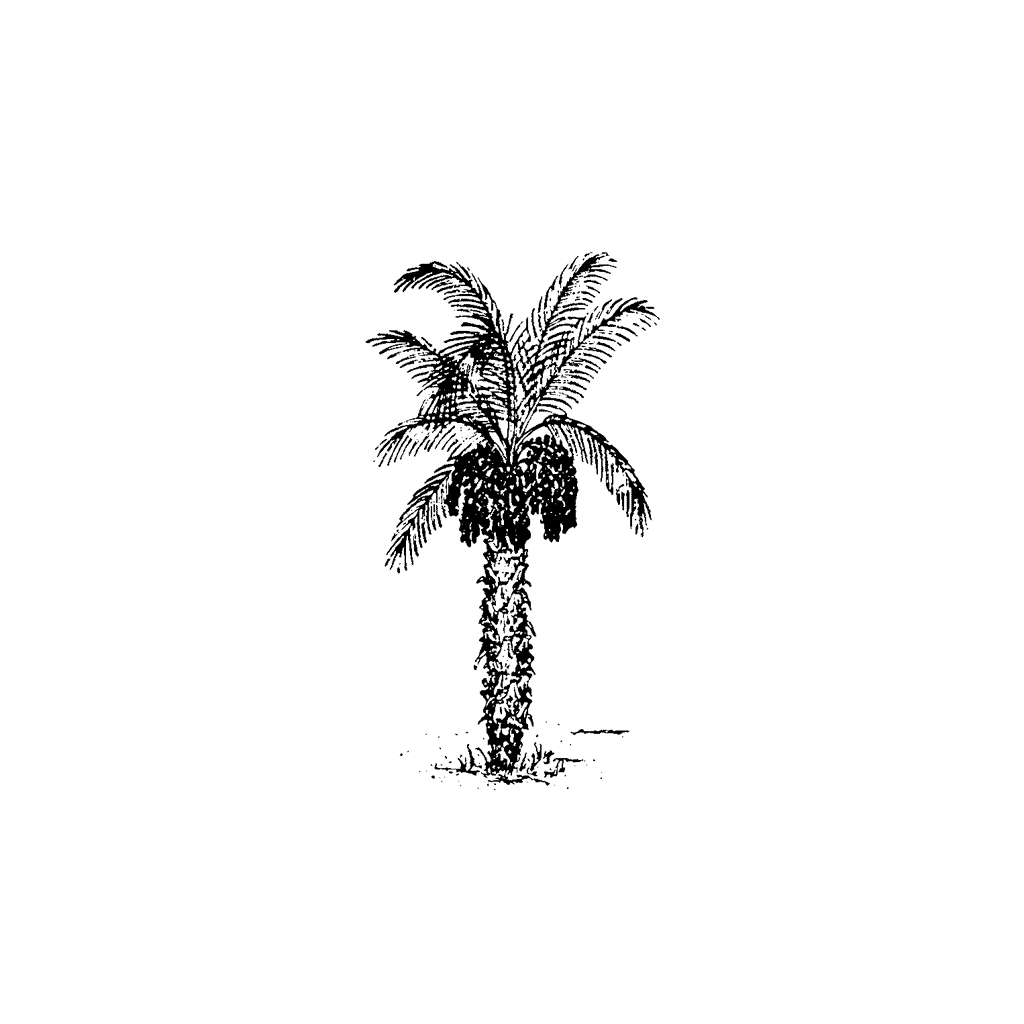palm tree rubber stamp Small Date Palm 280A