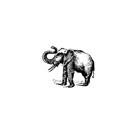 Small Elephant 956C
