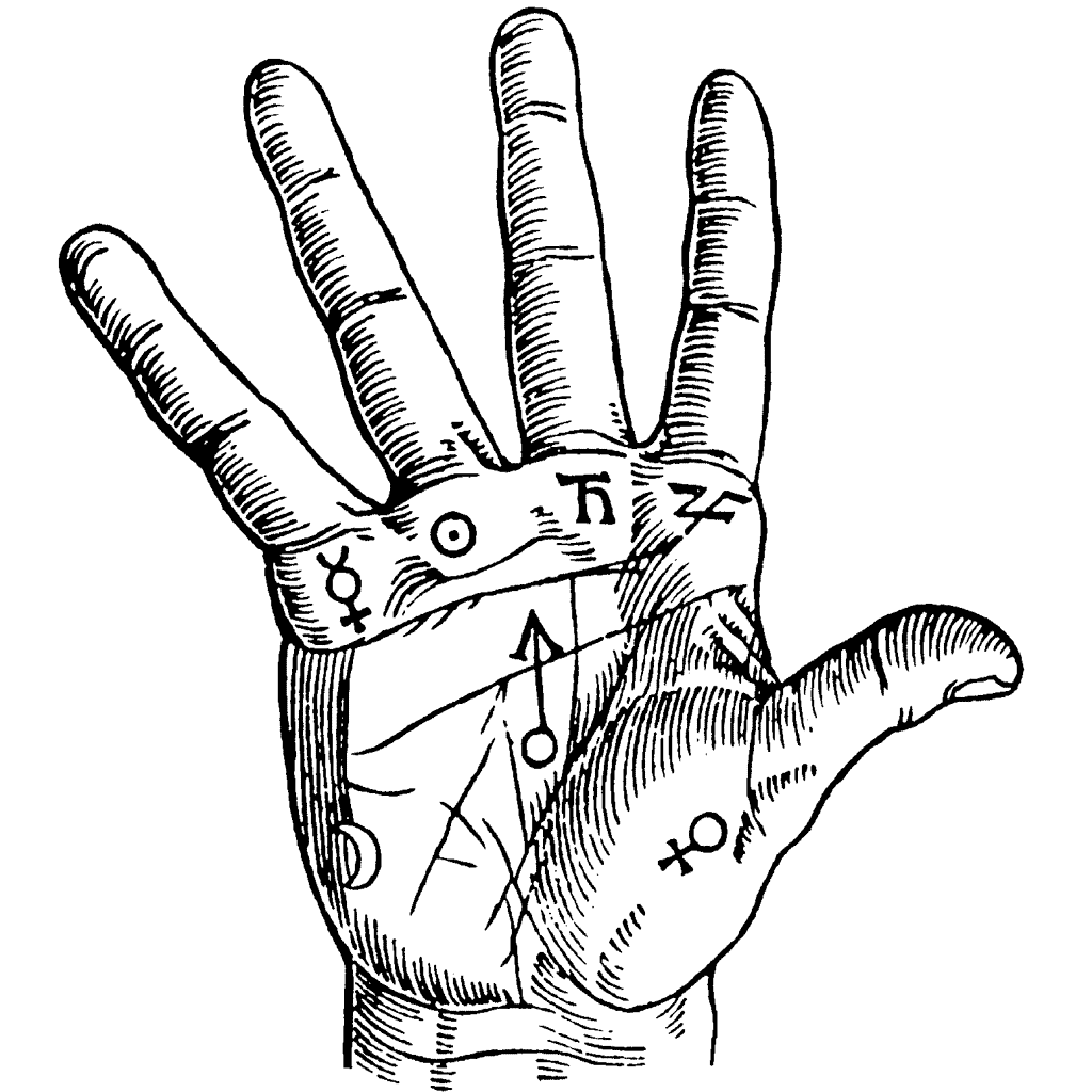Small Palm Reading 751I