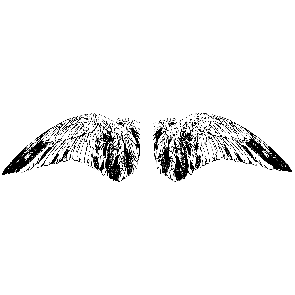 Small Wings 1100K