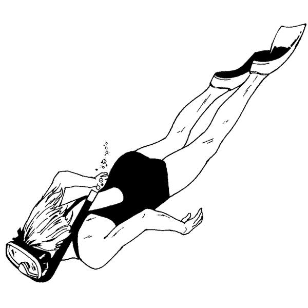 Snorkeling 1465G
