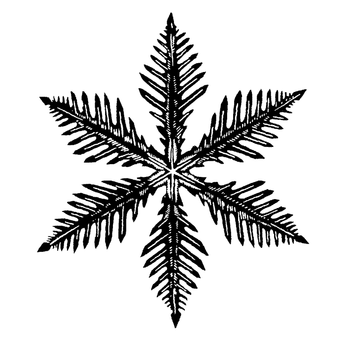Feather Snowflake 1776H