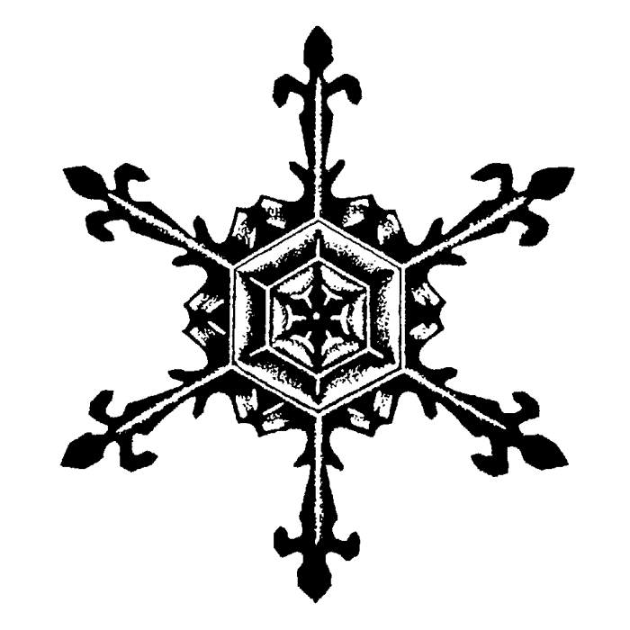 Fleur de lis Snowflake 1778F