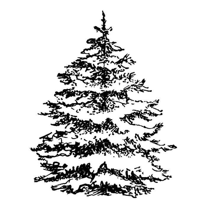 fir tree rubber stamp Snowy Fir Tree 1681G