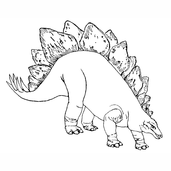 Stegosaurus 1640G